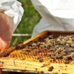 Food-Grade Mineral Oil (FGMO): A Safe and Versatile Solution for Sensitive Applications